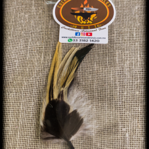 Pluma fina para Texana o sombrero
